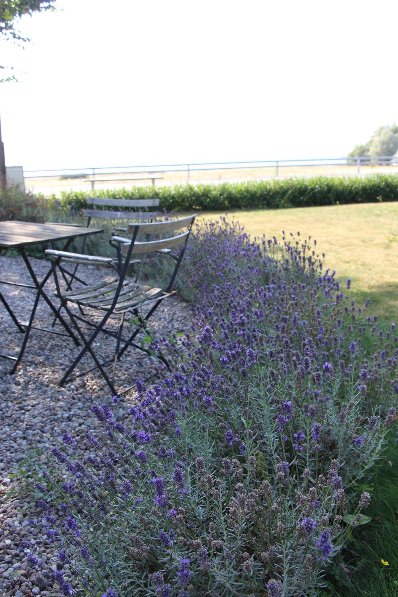 Bjerred B&B Bjärred Eksteriør bilde