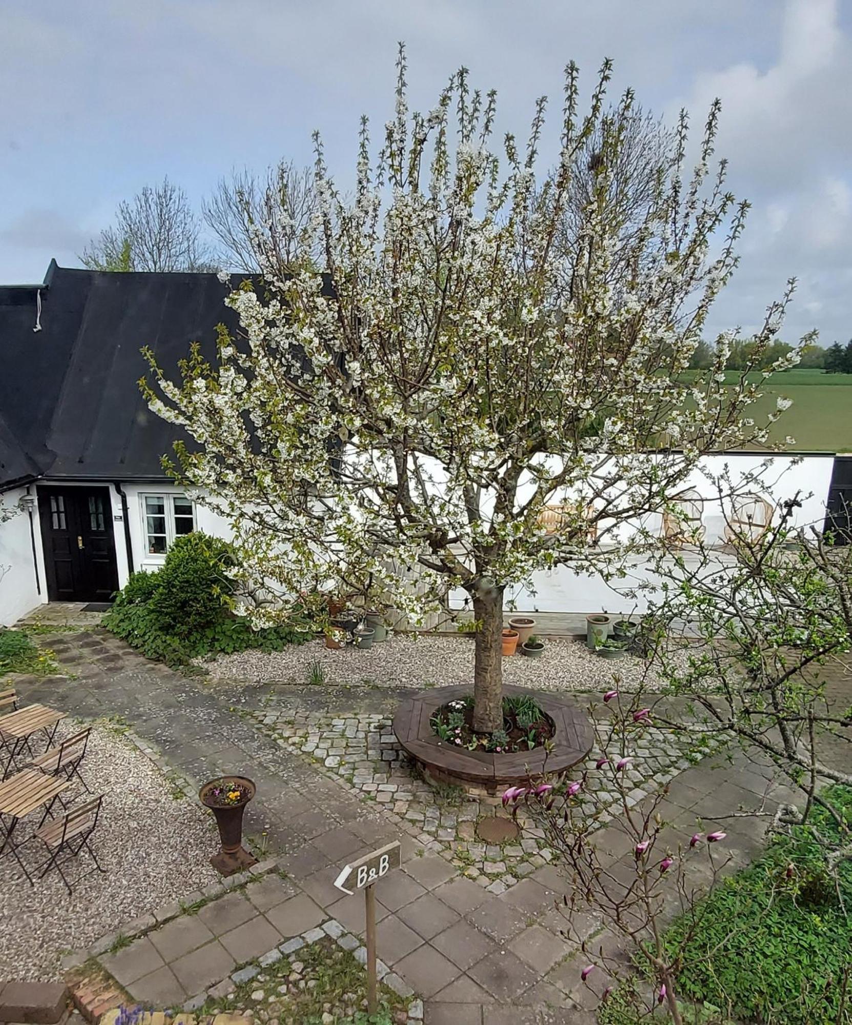 Bjerred B&B Bjärred Eksteriør bilde